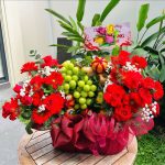 Đi thăm người ốm nên tặng trái cây gì? 7 câu hỏi được hỏi nhiều nhất
